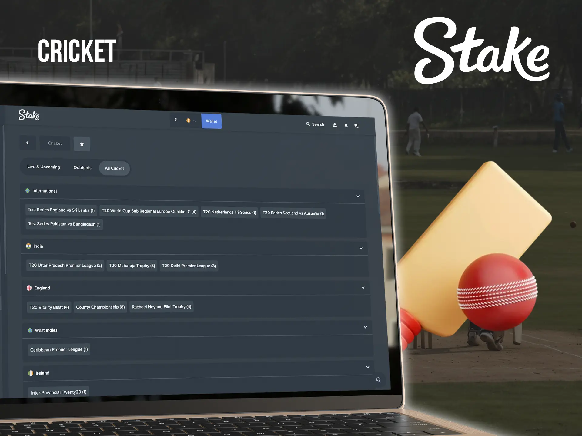 Follow the cricket teams to accurately predict your bets and win regularly at Stake Casino.
