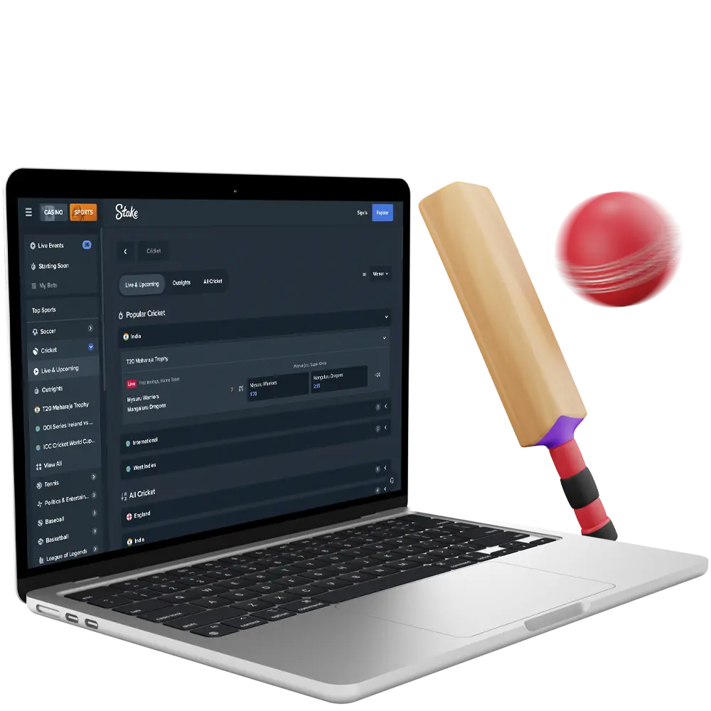 Learn how to bet quickly and efficiently at Stake bookmaker.